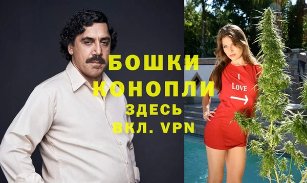 гидропоника Чекалин