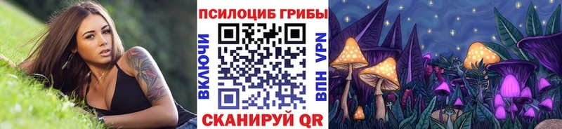 Купить  Тутаев  Псилоцибиновые грибы Cubensis 